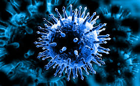 Flu Virus Molecule Image