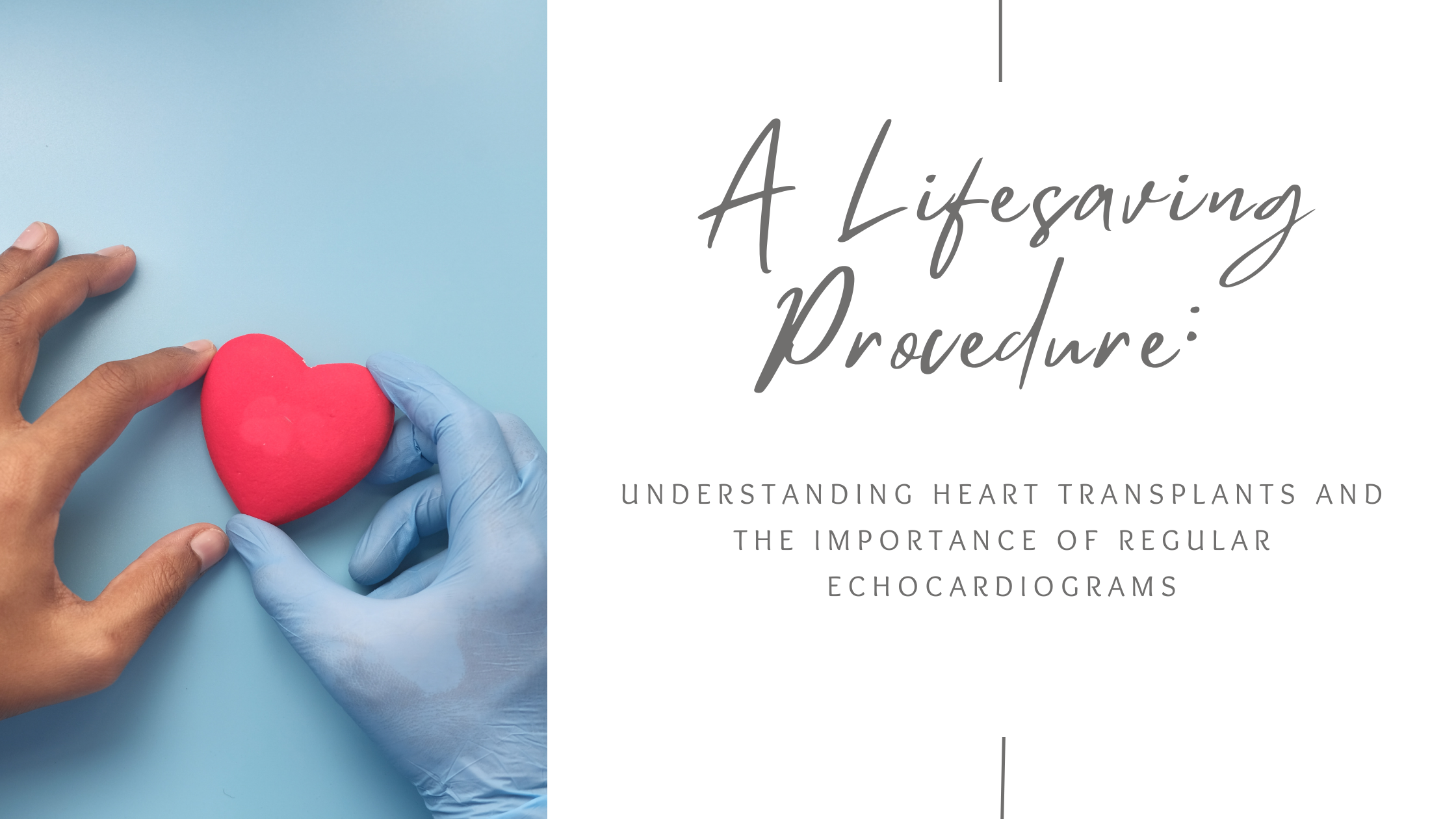 a blog banner of a bare hand and gloved medical hand both holing a fake heart with the blogs full title